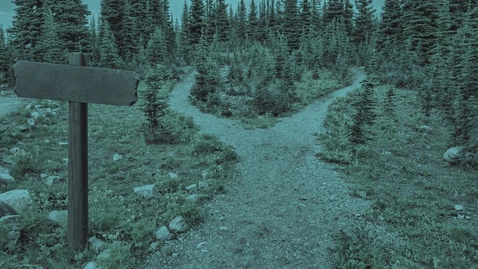 Développer un outil de scraping Web ou utiliser des outils d'extraction de données