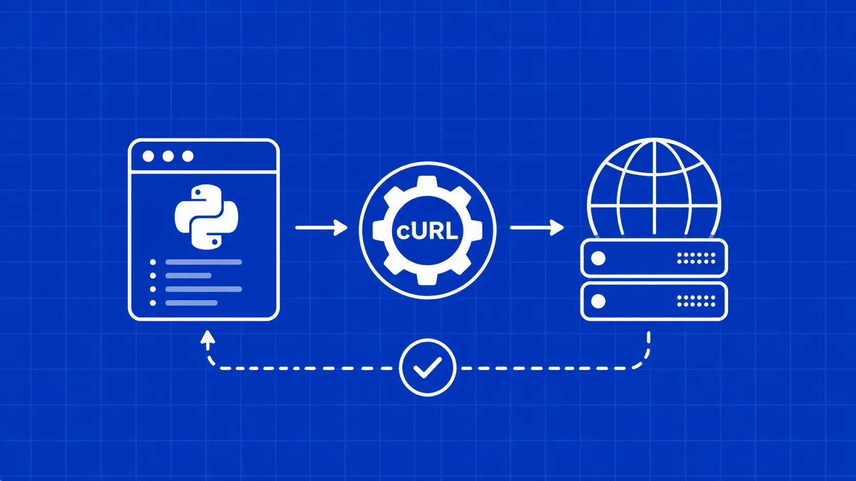 Comment utiliser cURL avec Python en 2026
