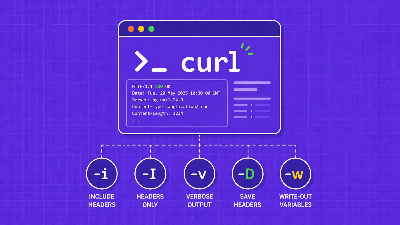 En-têtes de réponse HTTP dans cURL : Tous les drapeaux, techniques et recettes de script